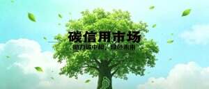 2026年碳信用市场趋势